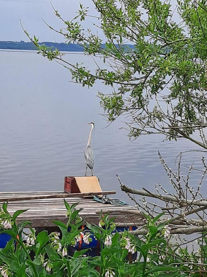 Sommerhus Mosso Skanderborg Bagian luar foto